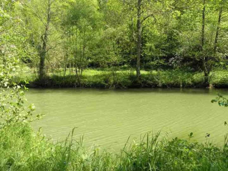 La Petite Semuroise Holiday home Semur-en-Auxois